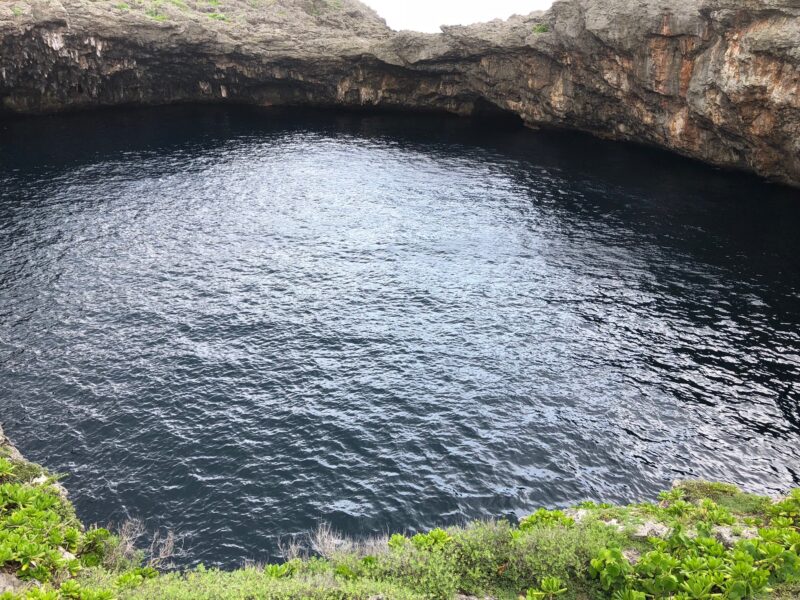 通り池の2つ目の池