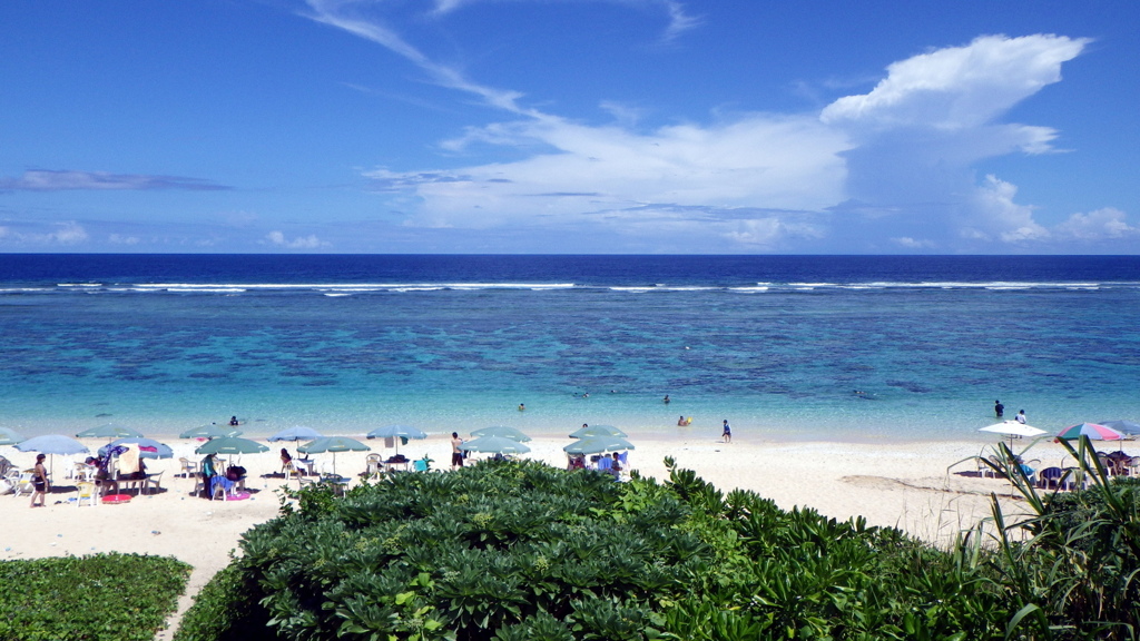 吉野海岸