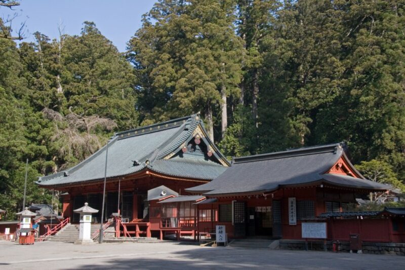 日光