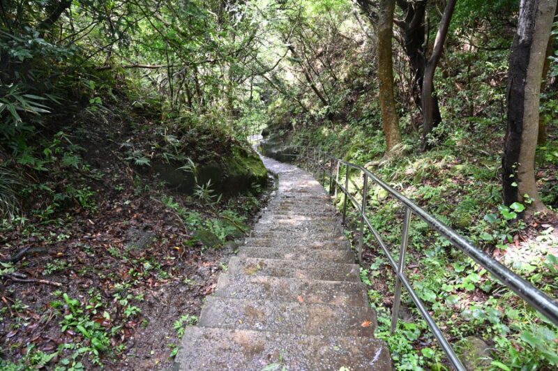 鋸山14